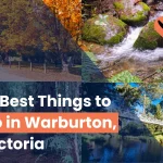 12 Best Things to Do in Warburton, Victoria (2024)