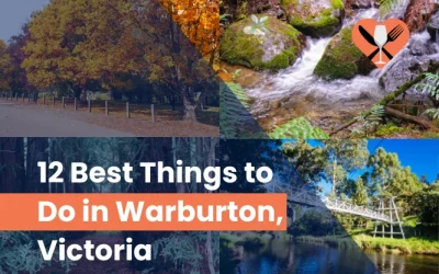 12 Best Things to Do in Warburton, Victoria (2024)