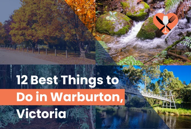 12 Best Things to Do in Warburton, Victoria (2024)