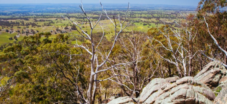 6. Hike Mount Alexander Regional Park