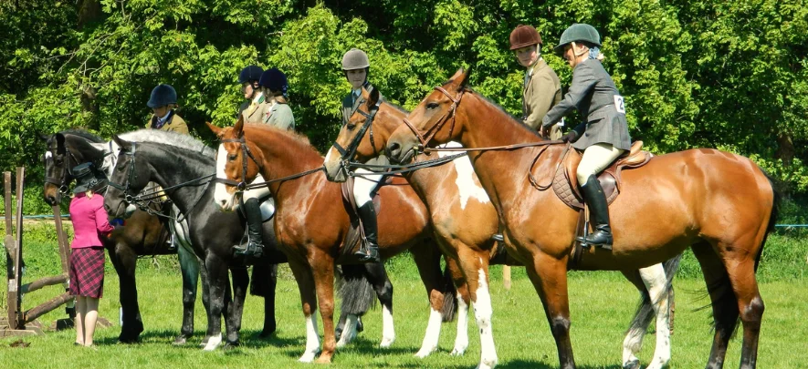 7. Werribee Park National Equestrian Centre