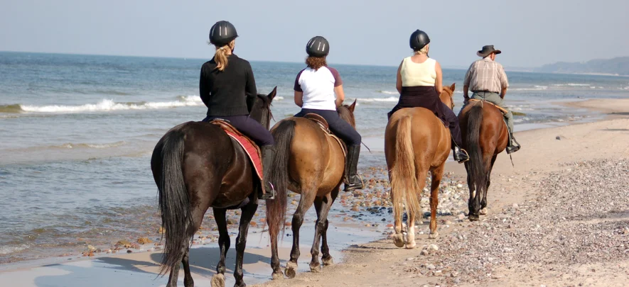 8. Go Horse Riding on the Beach