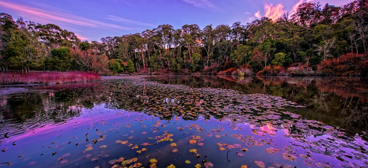 Daylesford Lake