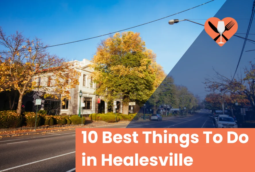 10 Best Things To Do in Healesville, Victoria (2024)