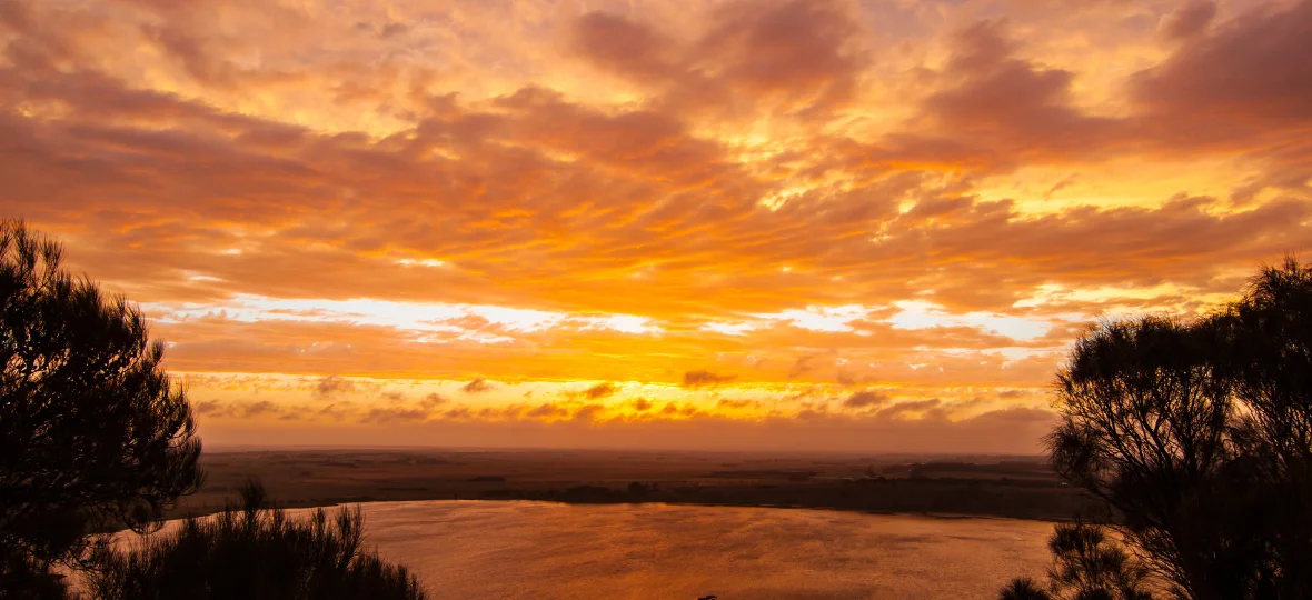 Discover the Tower Hill Wildlife Reserve