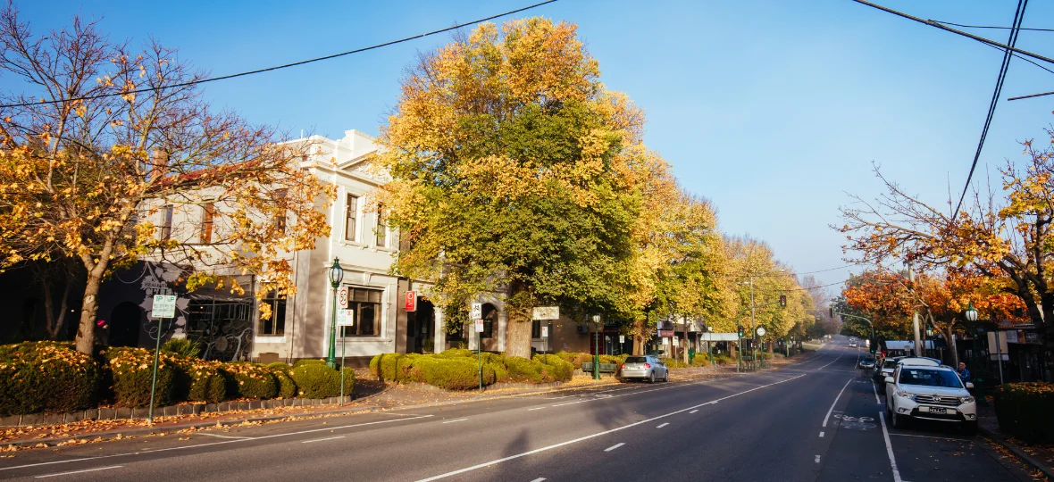 Healesville Main Street