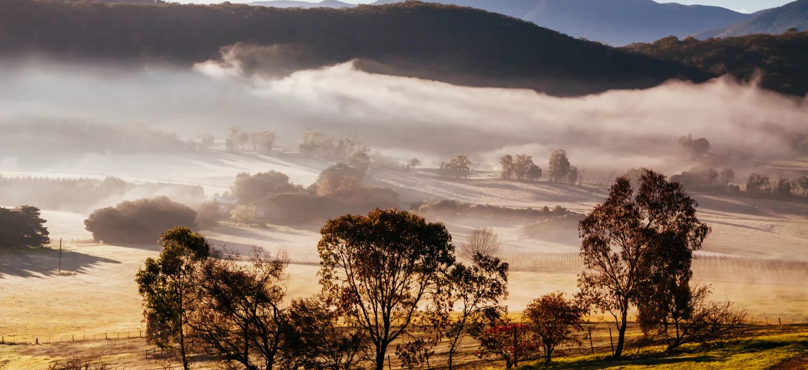 Take a Walk in the Yarra Valley