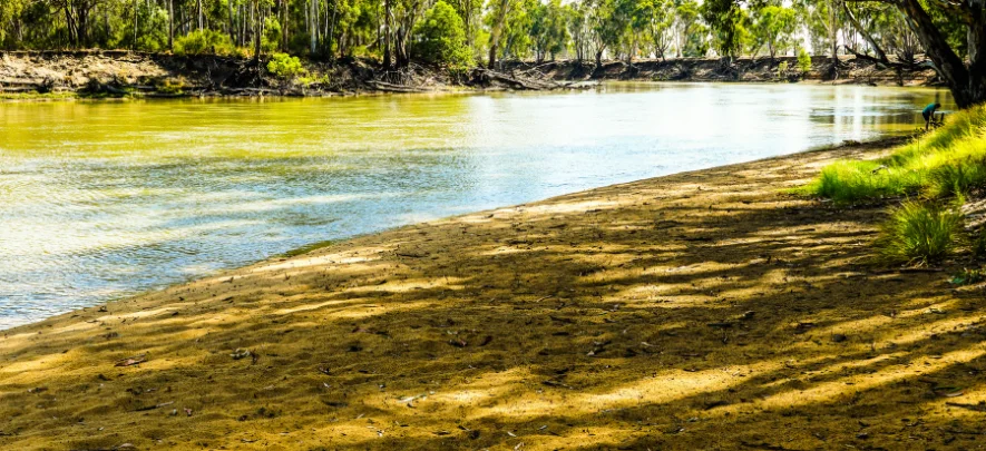 Murray river National Park