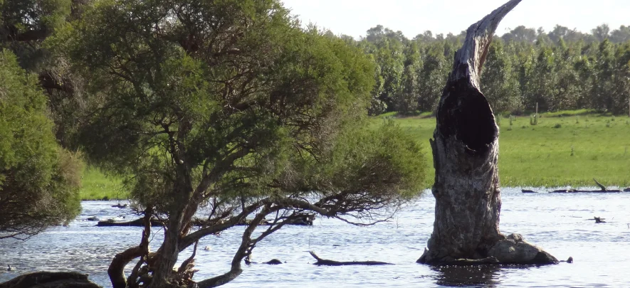 Stirling Range National Park