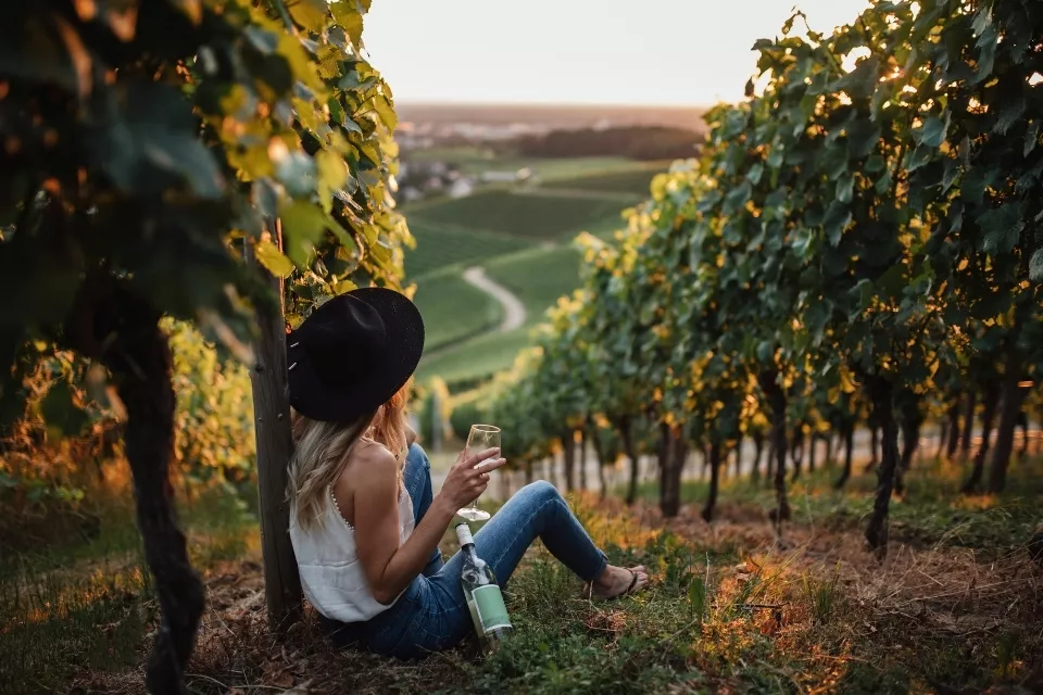 Wineries Near Melbourne