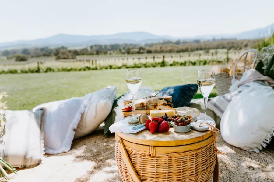 Epicurean Wine and Food Tours