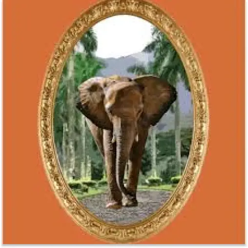 Elephant Corridor Glen Waverley